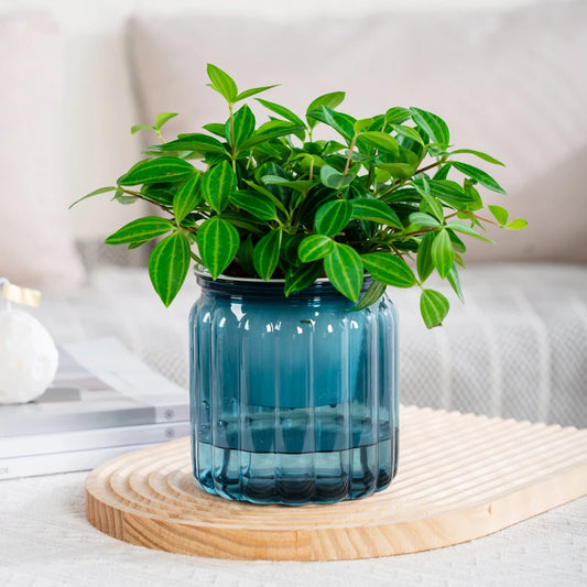 4pcs Self-Watering Planters Plastic Striped- Blue Colour