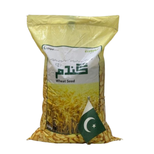 بھکر اسٹار - گندم کا بیج 50 کلوگرام (صوابی)