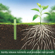 Slow Release Nutrient Sticks - 18 nutrient sticks
