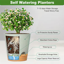 Two-Tone Self Watering Planters - White/Brown 5pcs