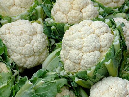 Cauliflower F1 Hybrid Seeds