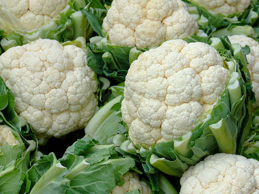 Cauliflower F1 Hybrid Seeds