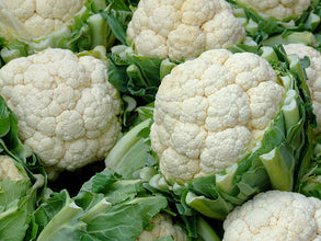 Cauliflower F1 hybrid seeds