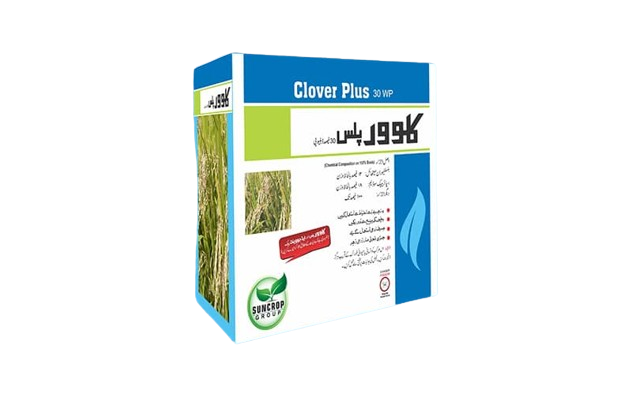 Clover Plus