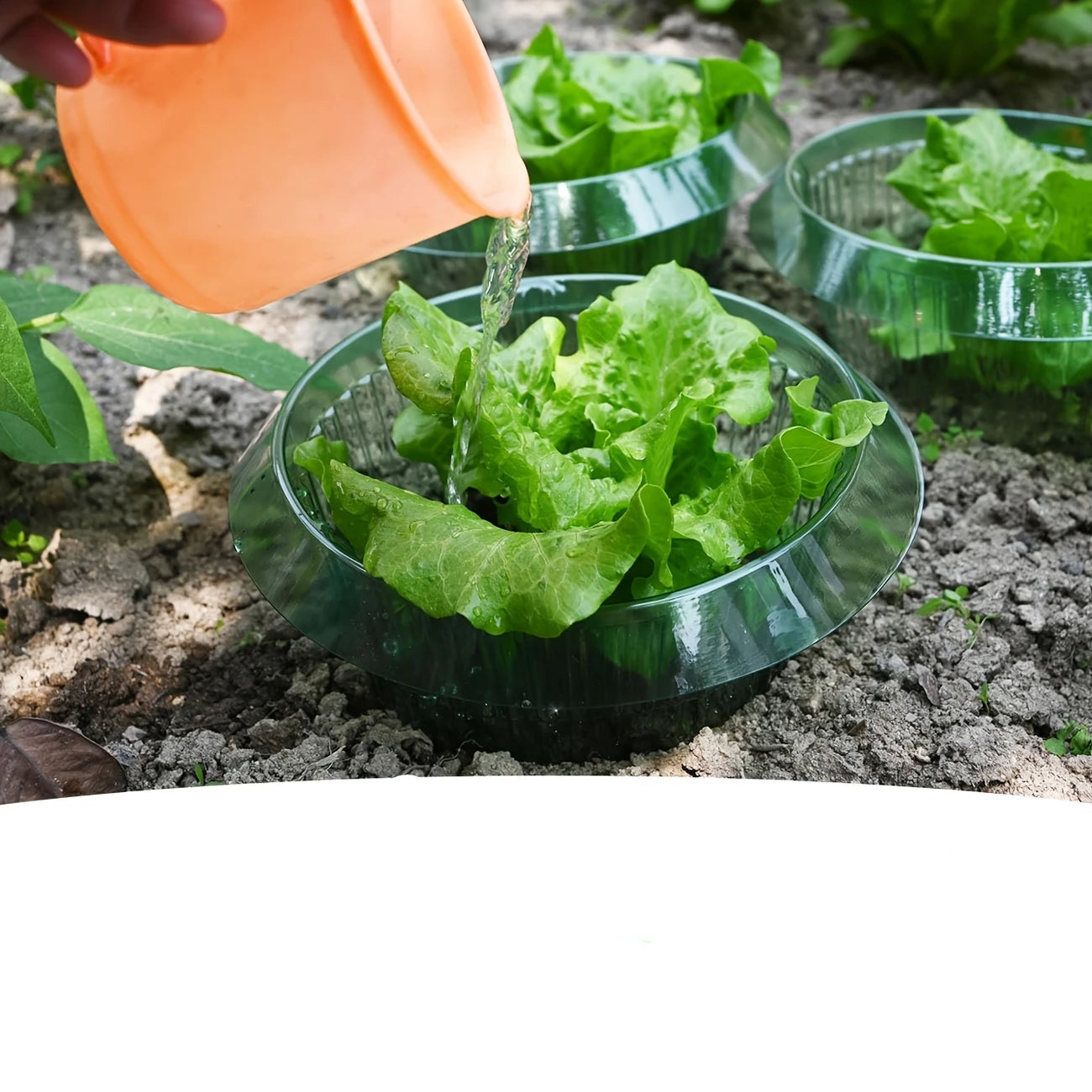 Plant Protection Collars - 5pcs
