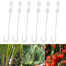Tomato Fruit Support Hooks Pakistan