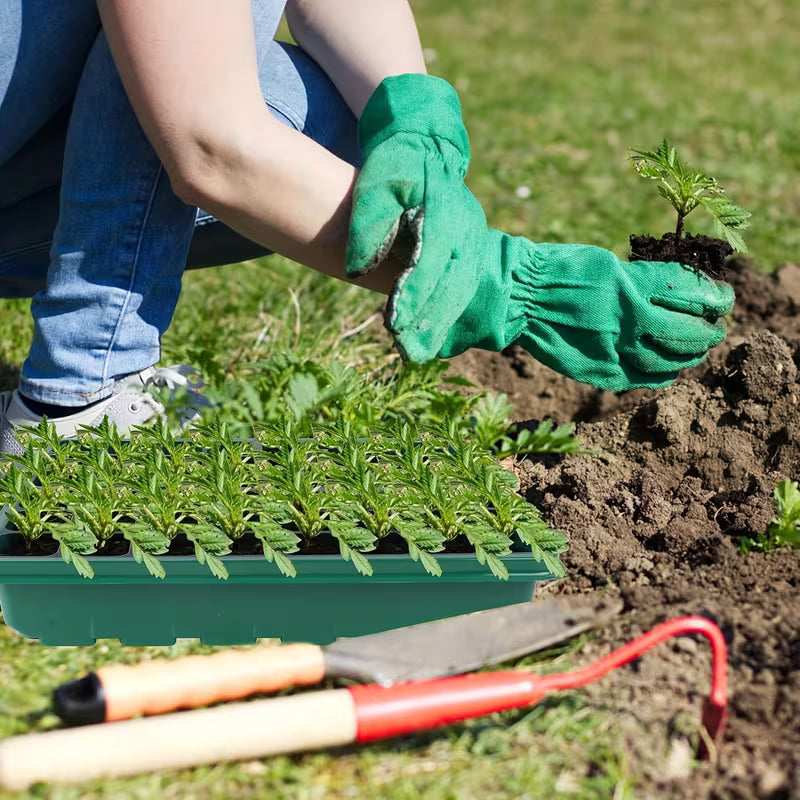 Versatile Seed Starter Kit with LED Lights 2 PCs