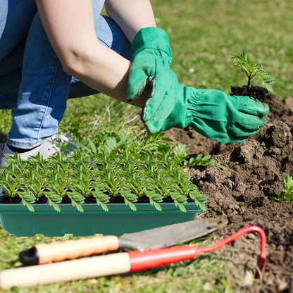 Versatile Seed Starter Kit with LED Lights 2 PCs