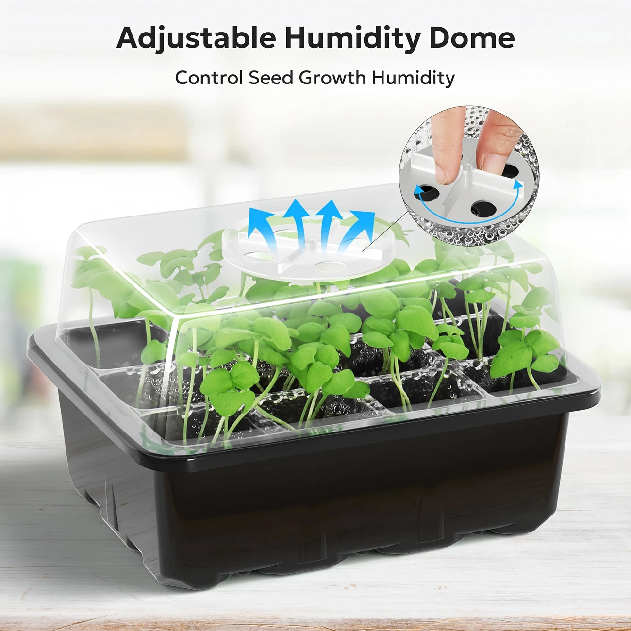 Versatile Black Seedling Starter Kit