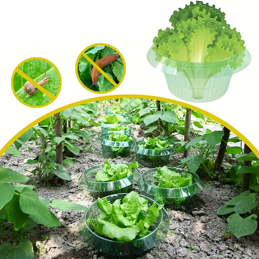Plant Protection Collars - 5pcs
