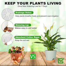 Two-Tone Self Watering Planters - Black/Brown 5pcs