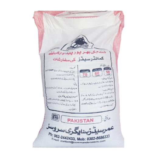 Pakistan 13- Wheat Seed 50 KG (Swabi)