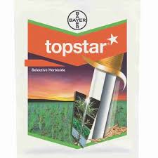Top Star 80%WP