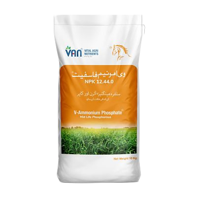 V Ammonium Phosphate 10 KG