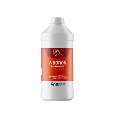 V-Boron Liquid 1 L