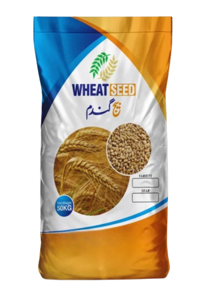 Pirsabak 13- Wheat Seed 50 KG (Swabi)